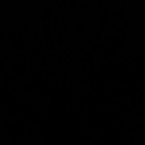 Meet your Posher, Iri